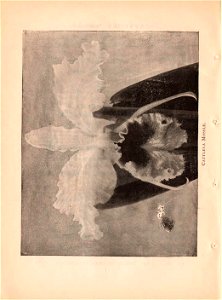n17_w1150