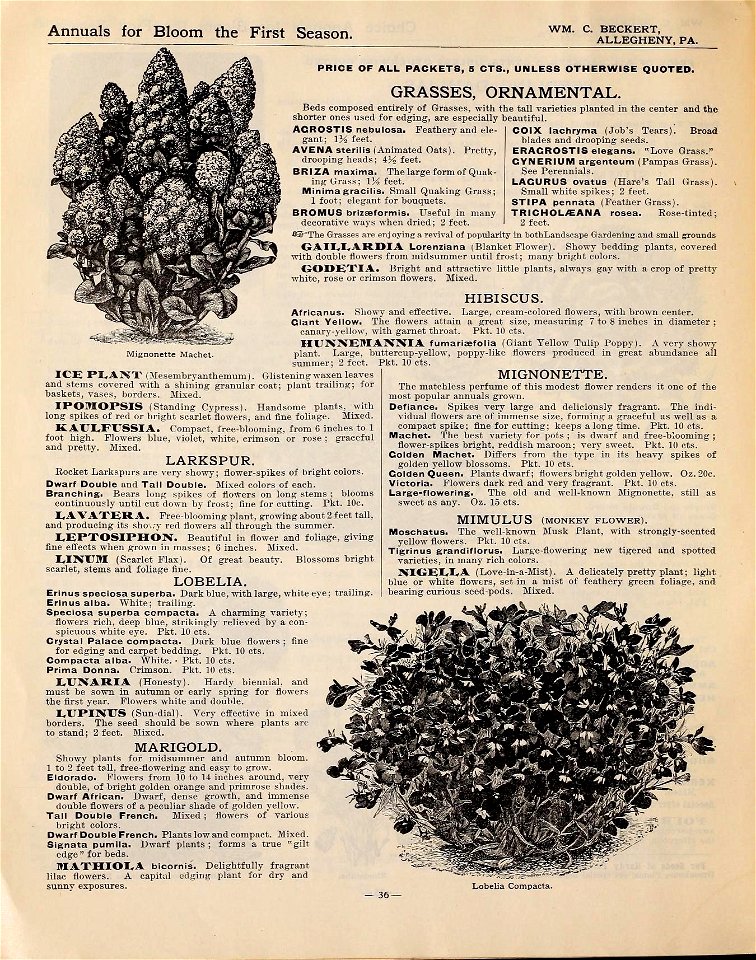 n39_w1150