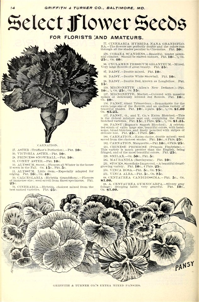 n17_w1150