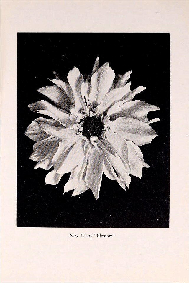 n14_w1150