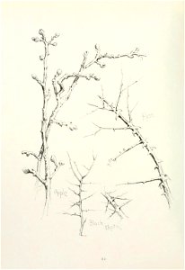 n103_w1150