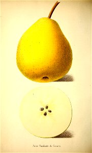 n371_w1150