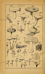 n159_w1150