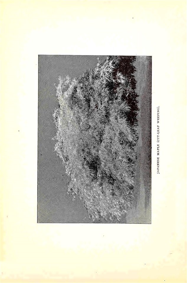 n31_w1150