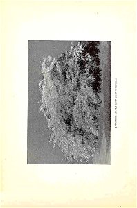 n31_w1150
