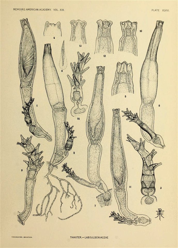 n302_w1150