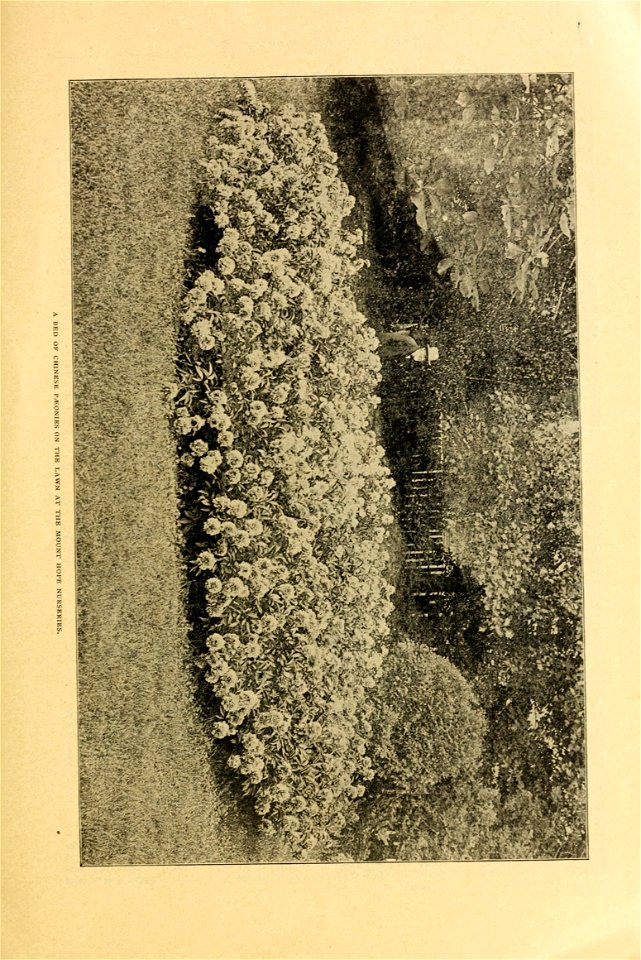 n14_w1150