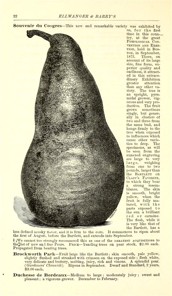 n27_w1150