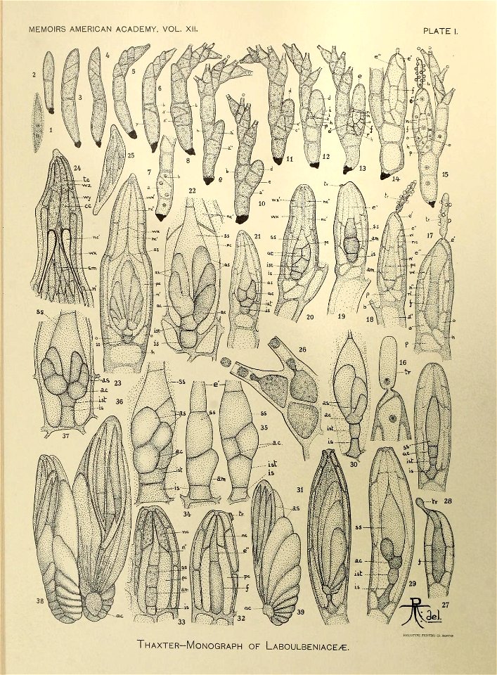 n217_w1150