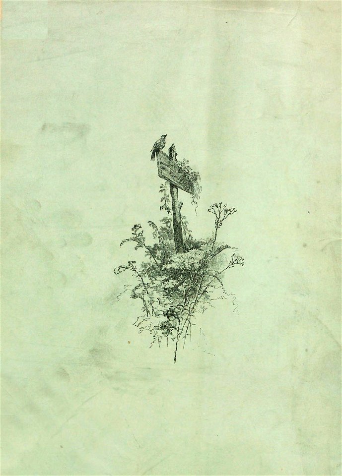 n35_w1150