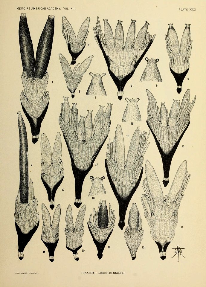 n268_w1150