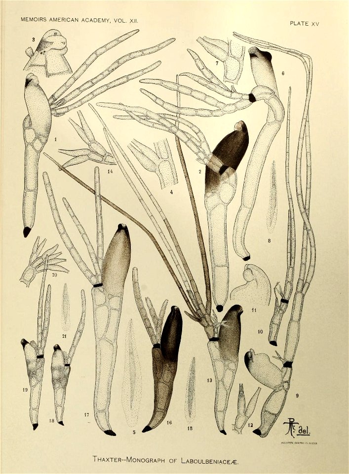 n265_w1150