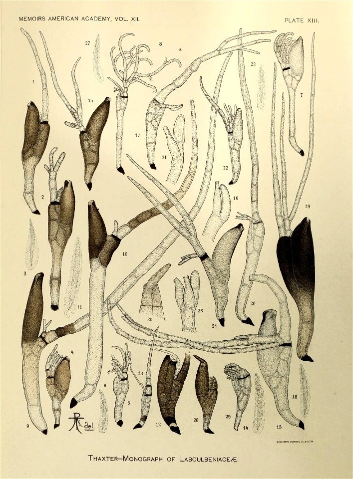 n259_w1150