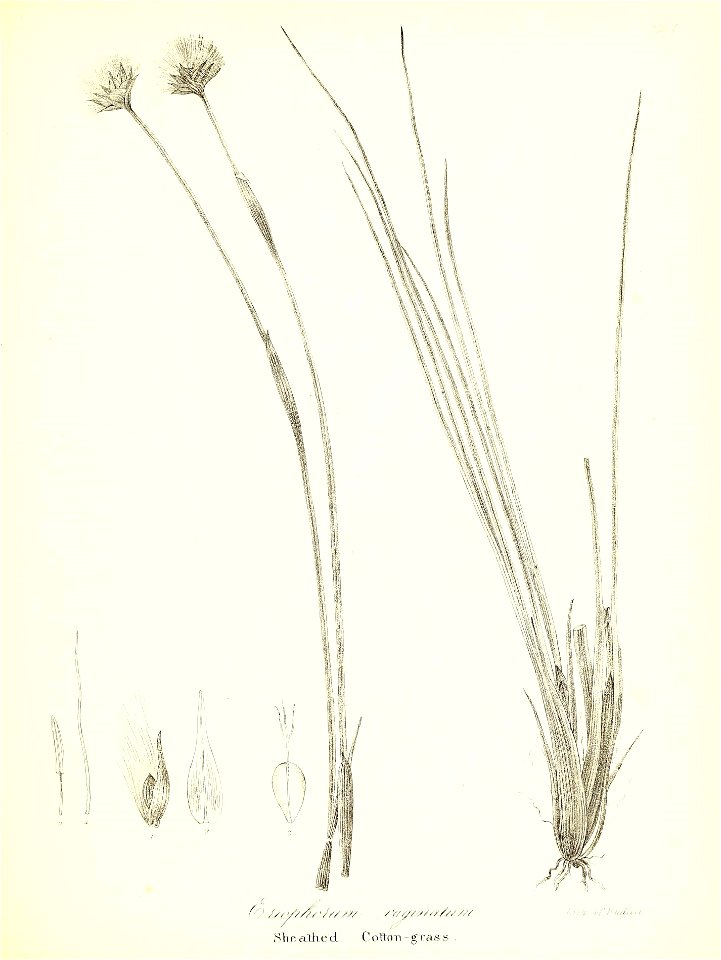 n722_w1150
