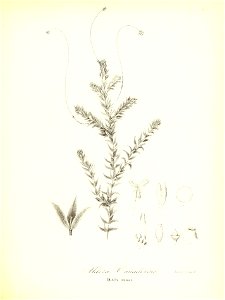 n692_w1150