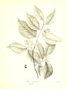 n660_w1150