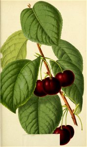 n84_w1150