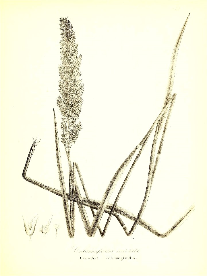 n744_w1150