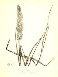 n744_w1150