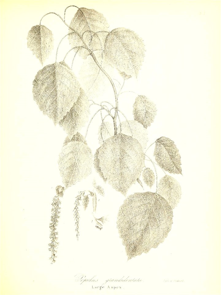 n682_w1150