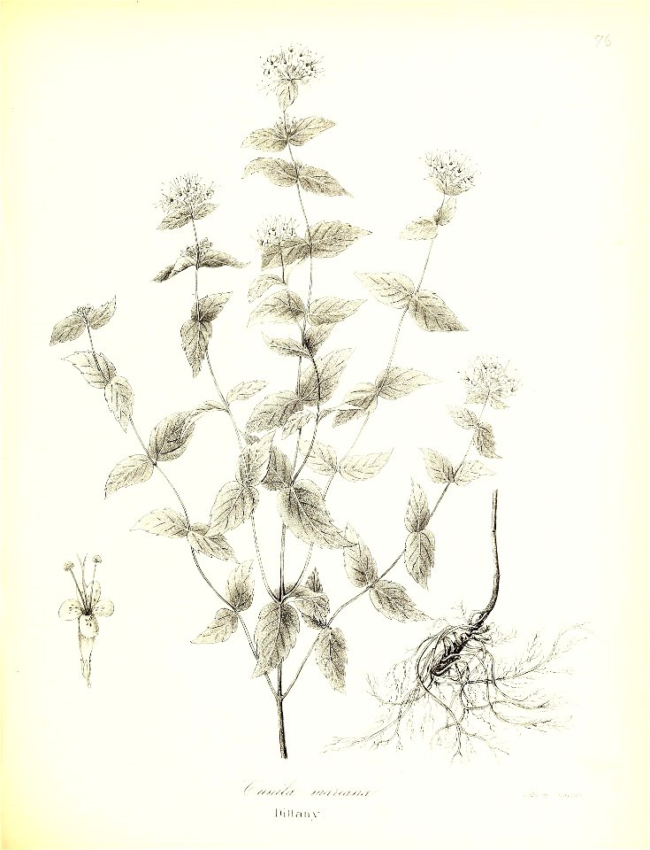 n592_w1150