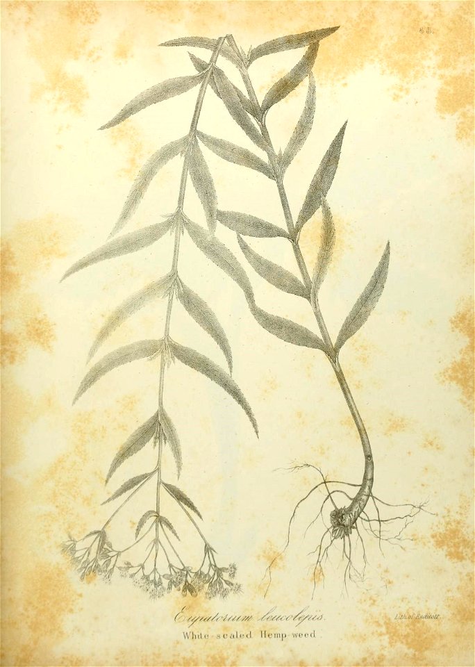 n602_w1150