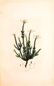 n172_w1150