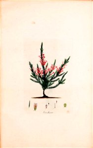 n112_w1150