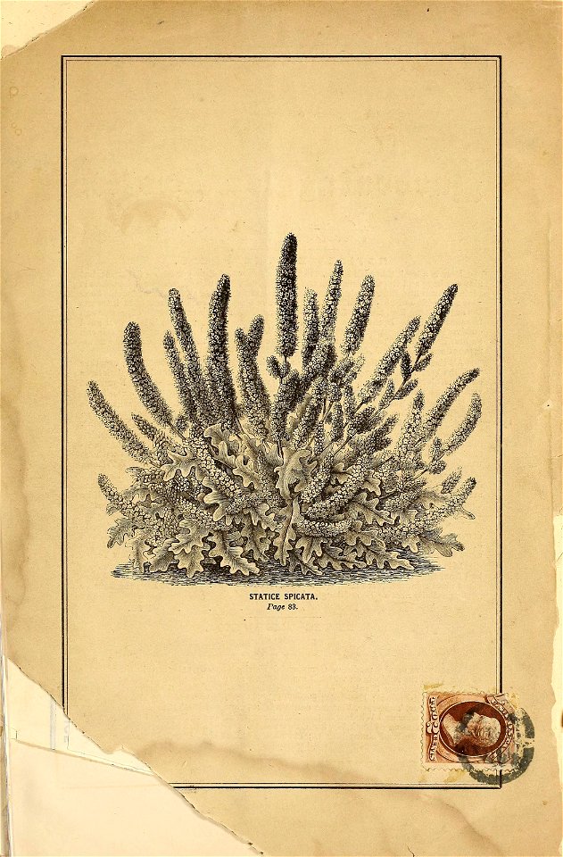 n4_w1150