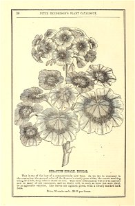 n33_w1150