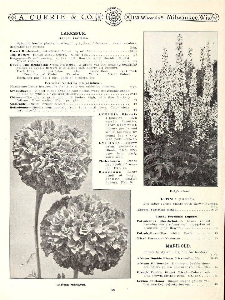 n61_w1150