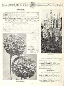 n61_w1150