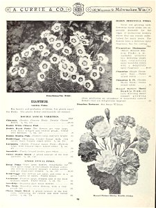 n57_w1150