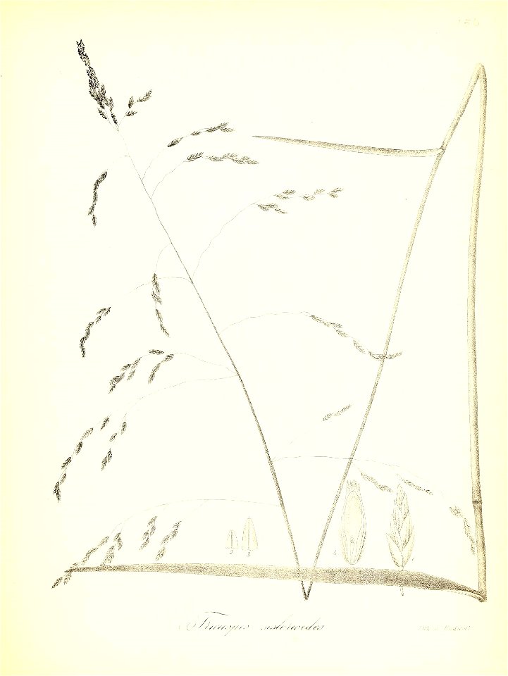 n754_w1150