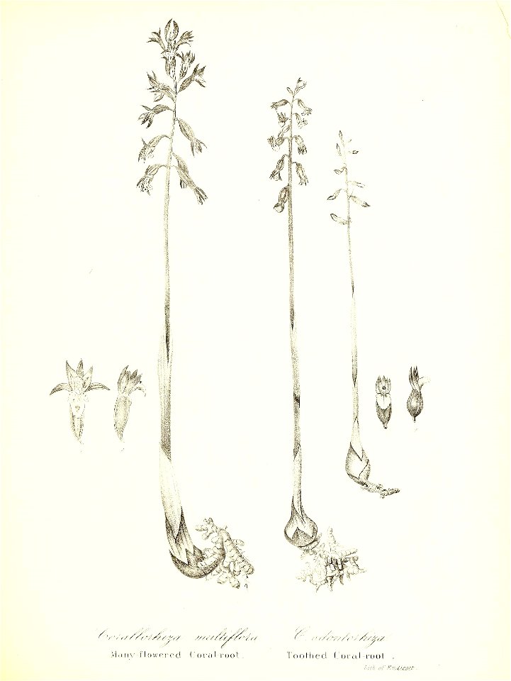 n694_w1150