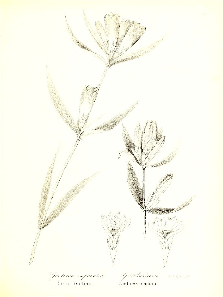 n602_w1150