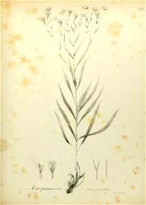 n610_w1150