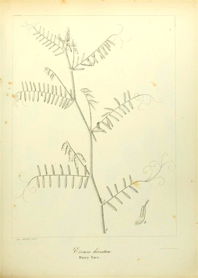 n548_w1150
