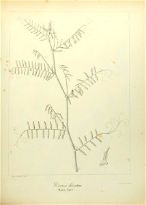 n548_w1150