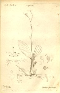 n68_w1150
