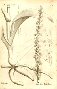 n53_w1150