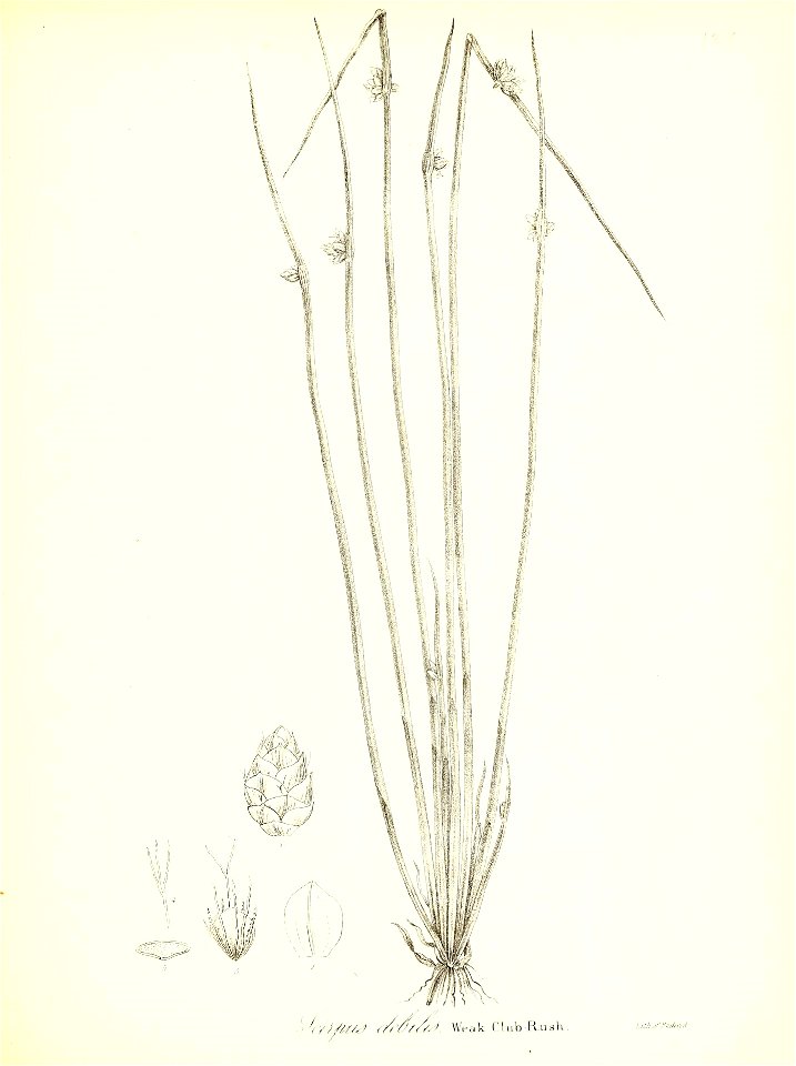n718_w1150
