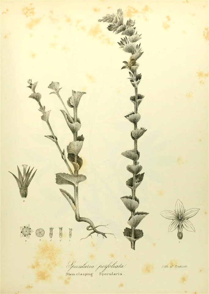 n636_w1150