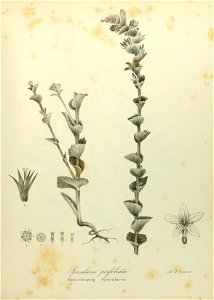n636_w1150