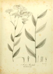 n606_w1150