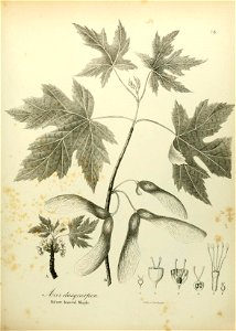 n542_w1150
