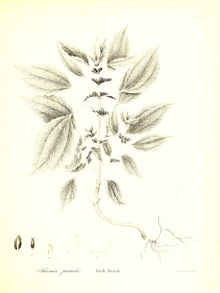 n684_w1150