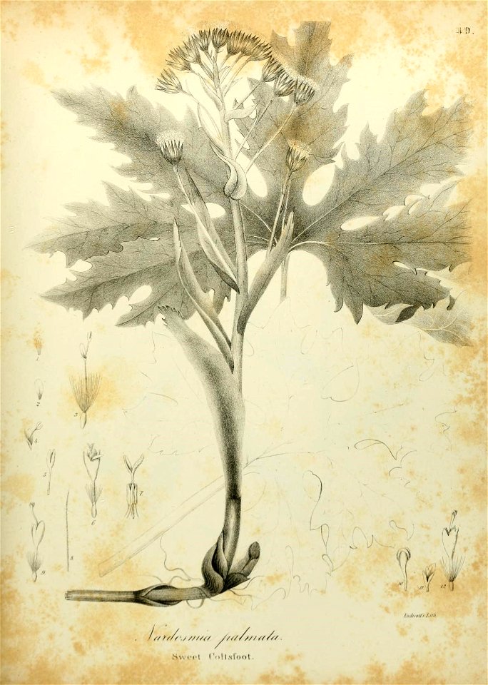 n604_w1150