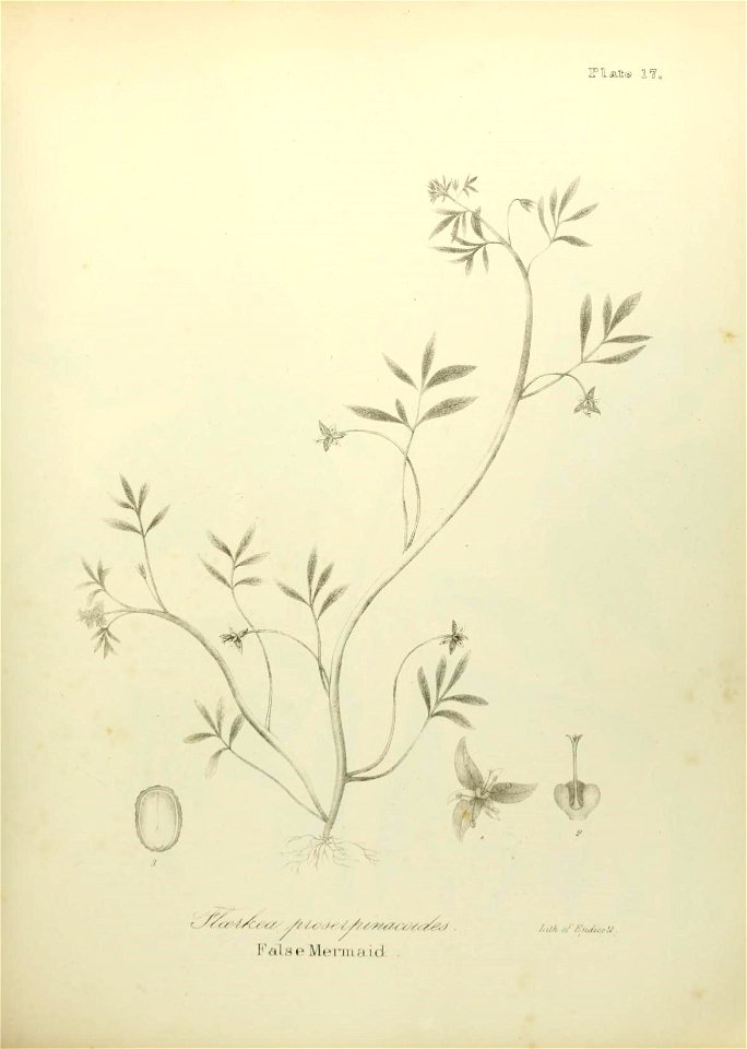 n540_w1150