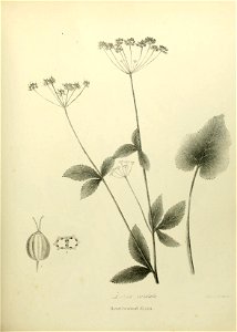 n572_w1150